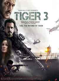 Тигр 3